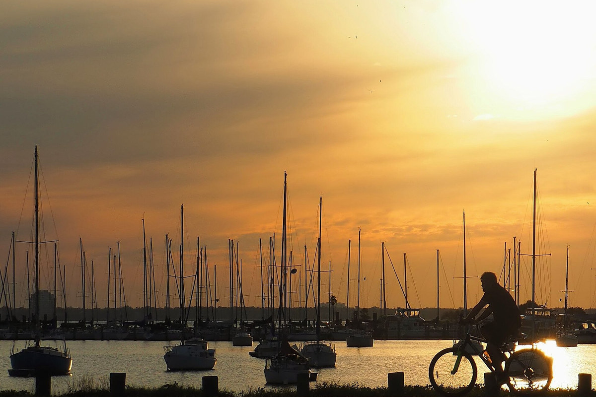 Sailboats and a cyclist silhouetted beside Davis Island Yacht Club at sunset